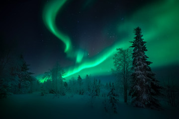 Fototapeta na wymiar Northern Lights Aurora Borealis