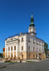 Fototapeta na wymiar Kezmarok Town Hall, Slovakia
