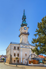 Fototapeta na wymiar Kezmarok Town Hall, Slovakia