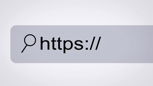 Web browser or web page with a search box