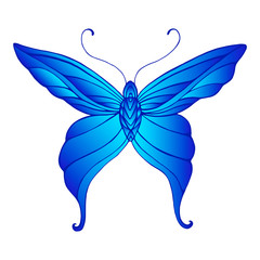 Butterfly with patterned wings, bright gradient cyan and dark blue color, isolated white background