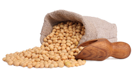 Soy beans in a burlap isolated on white