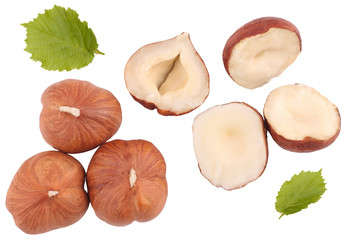 Hazelnuts isolated on white background, top view