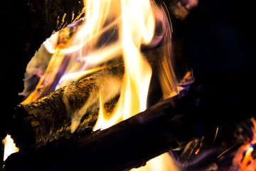 Firewood in flame