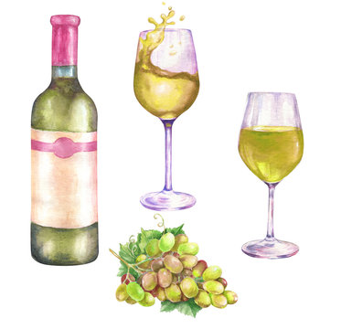 Watercolor illustration with grape, bottle of wine, glass of wine