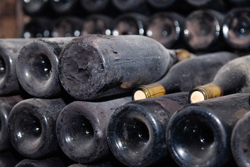 Ancient dark dusty wine bottles aging in underground cellar in rows. Concept winery vault with rare...