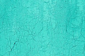 Old wooden painted plywood. Blue dried and cracked paint. Close-up. Background. Texture.