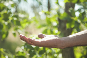 Male empty opened hand in outdoors.