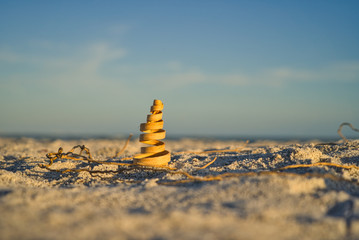 Fototapeta na wymiar Nahaufnahme einer Deko Spirale aus Holz am Strand auf Sanibel Island 
