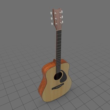 Acoustic guitar