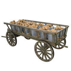 Harvest ripe potatoes in buckets of a wooden cart