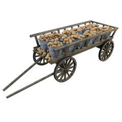 Harvest ripe potatoes in buckets of a wooden cart