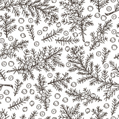 Medicinal plants Seamless pattern. Hand Drawn Juniper branch, Leaves and Berries. Alternative medicine. Biological additives are. Traditional herbal therapy. Vector illustration