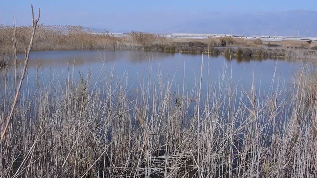 Aguas tranquilas en las lagunas en un humedal del sur de Espa&ntilde;a