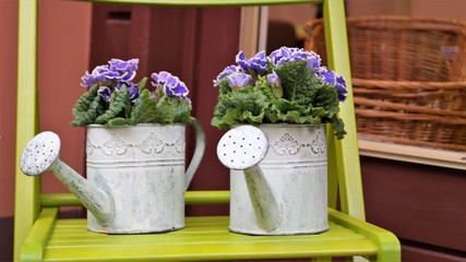 bright spring flowers outdoors in original flower pots