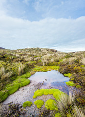 Paisajes, montañas, rios, volcanes, Colombia. Purace