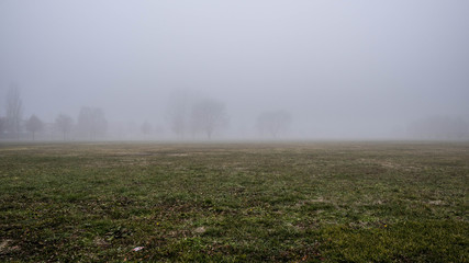 Fototapeta na wymiar Parco con nebbia - Noventa di Piave VE