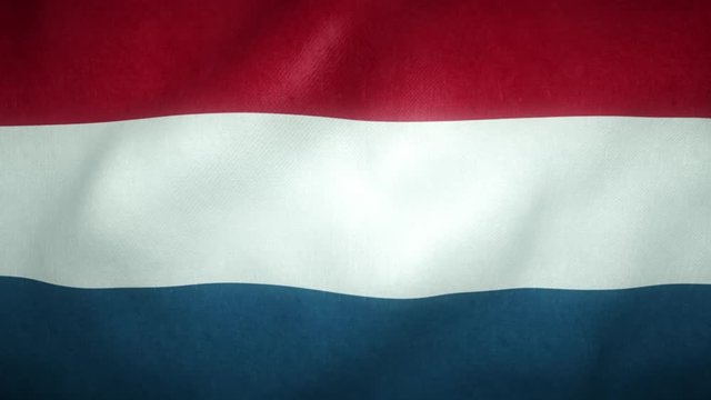 flag of the netherlands waving in the wind