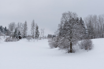Winter am Dreiländereck bei Arnoldstein, Kärnten