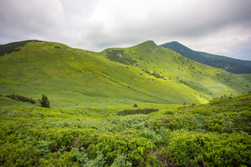 Obraz premium Mała Fatra - Malá Fatra - Slovakia 