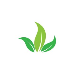 Green leaf logo