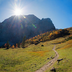 Wanderweg &uuml;bers Hohljoch zur Falkenh&uuml;tte, herbstliche Landschaft im Karwendelgebirge, &Ouml;sterreich