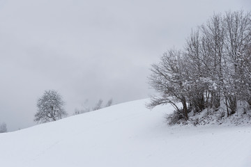 Winter am Dreiländereck bei Arnoldstein, Kärnten