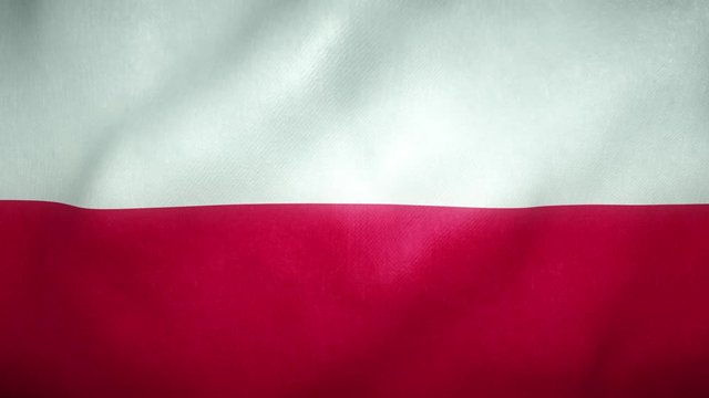 flag of poland waving in the wind
