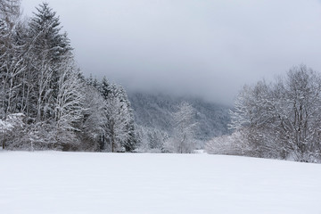 Winter am Dreiländereck bei Arnoldstein, Kärnten