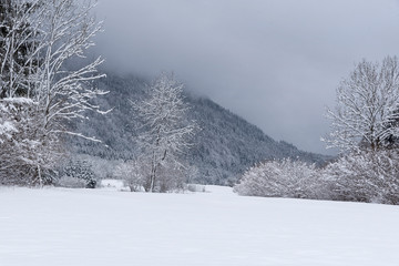 Winter am Dreiländereck bei Arnoldstein, Kärnten