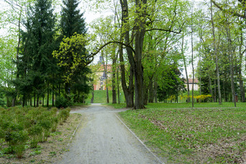Park near Nesvizh castle in the spring