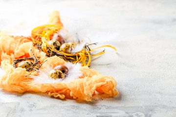 Easter Eggs in bird Nest. Quail easter eggs with feathers in nest on white table with copy space.