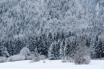 Winter am Dreiländereck bei Arnoldstein, Kärnten