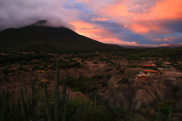 Tehuacan-Cuicatlan Biosphere Reserve - cacti, trees, volcanoes.  Puebla State. Mexico