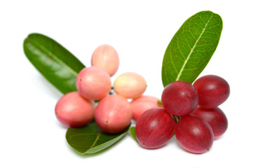 Karanda fruit (Carissa carandas) on white background