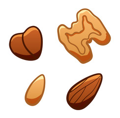 Cartoon style isolated nuts set on white background