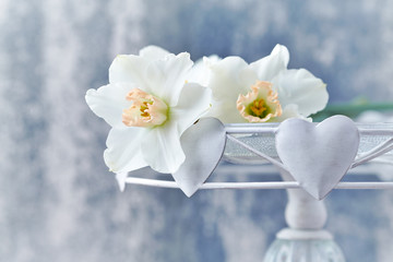 White daffodils on bright background.