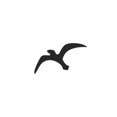 black eagle flying in the sky