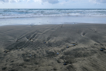 Petroleum contaminated sandy sea shore ecosystem damage,pollution cilento italy 