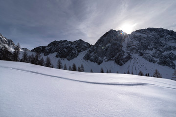 Fototapeta premium Winter im Bärental, Kärnten