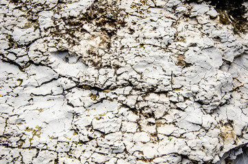 Close up of Butuminous Chalk, from Israel
