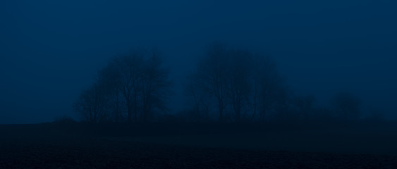 nightly trees, dark blue sky
