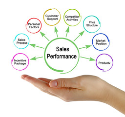 Eight Drvers of Sales Performance