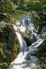 Fototapeta na wymiar Fast streams of a mountain waterfall