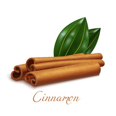 Isolated Cinnamon Sticks and Leaves in Realistic Style