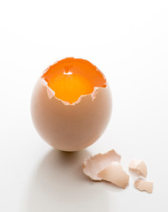 egg on the white background