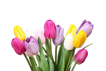 Bouquet of tulip flowers on white background