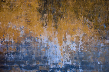 Old wall in elegant decay