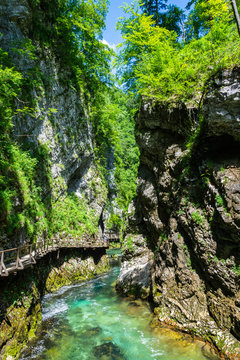 Landscape in Vintgar Gorge (Soteska Vintgar) near Bled town in Slovenia