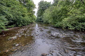 Damp day, River Calder, Renfrewshire, Scotland, UK
